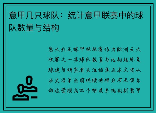 意甲几只球队：统计意甲联赛中的球队数量与结构